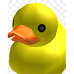 The ducksquad #4 lyfe