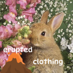 erupted clothing