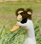 TheBoyLoganC
