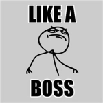 Bosses of the Boss