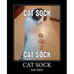 Cat sock army