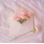 ~-*TR4P DOLLZ*-~