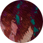PRISMATIC Irridescent Beipiaosaurus Unlocked!
