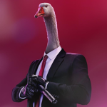 Goose organisation