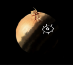 The Onion Patch.