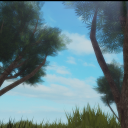 Realistic Island