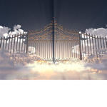 Heavenly Angel’s