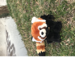 Pandas are ctue!