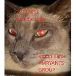 #MRYANTS GROUP