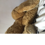 Oliver gaming #Group t