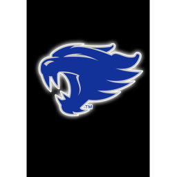 Kentucky Wildcats Fan hangout