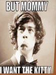1D and HS Fan Club