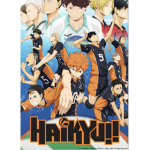 Haikyu Fan Group