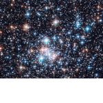 TheStarry