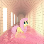 c l o s e t m o t h s