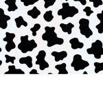 Cows United <3