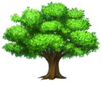 This is a Test.
