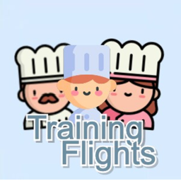 Flights Training Center
