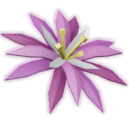 Paradise Petal