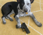 Dogs are cool51