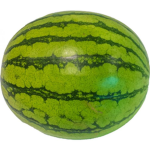 The Cool Melon