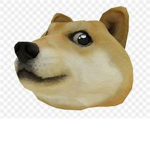 The Doge Tribe.