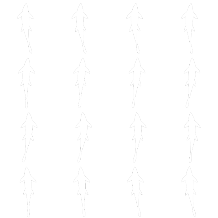 Fish 3 [Flipbook Particle] Roblox decal