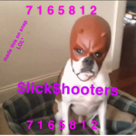 $lick $hooters