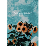 ######## ###### Sunsets! (fan group) :)