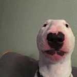 Mrcallofduty