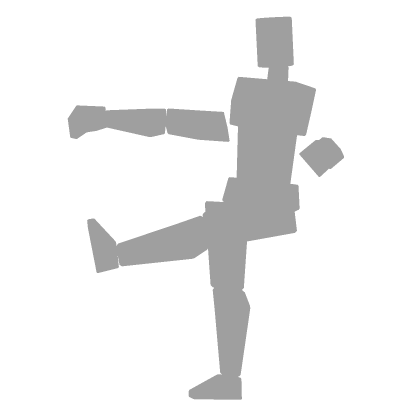 Sturdy R6