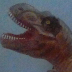 cool cats and dogs and lizards