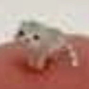 ♡