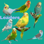 The coolest bird group everrr