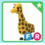 cedric dp giraffe