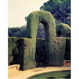 Maze with time