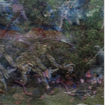 Ortex