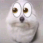 moipaa