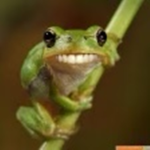*~Froggy Fam~*