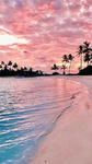 Pink beach time