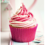 Pastry Pack