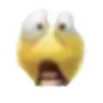 kool meme group