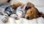 Just my best friend and me!