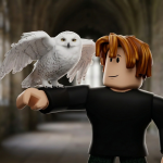 Raise an Owl