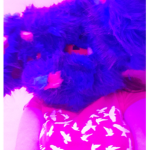 Kawaii Fan Group For Furries :3