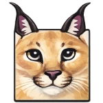 null Group Thumbnail