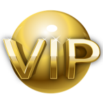 VIP Developers