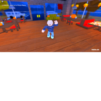 Camera Input Testing