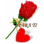 AmyMiranda5