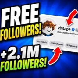 Followers experience